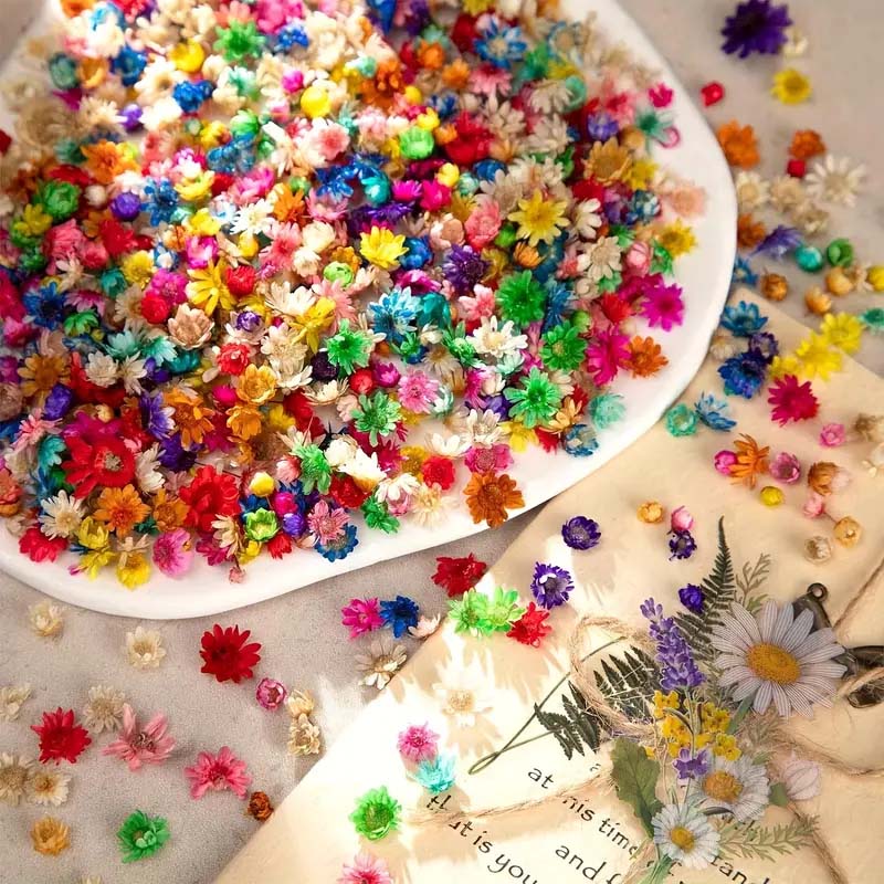 Mixed Colorful Flower for Wax  - Embellish Craft reseña y precio