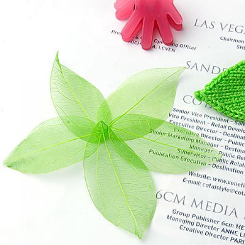 Natural Catbrier Skeleton Leav - Craft Embellishments reseña y precio