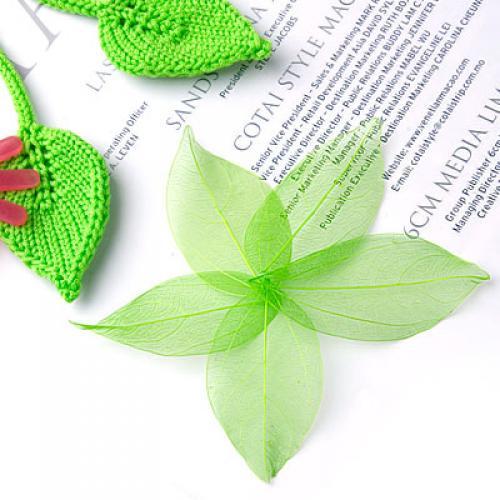 Natural Catbrier Skeleton Leav - Craft Embellishments reseña y precio