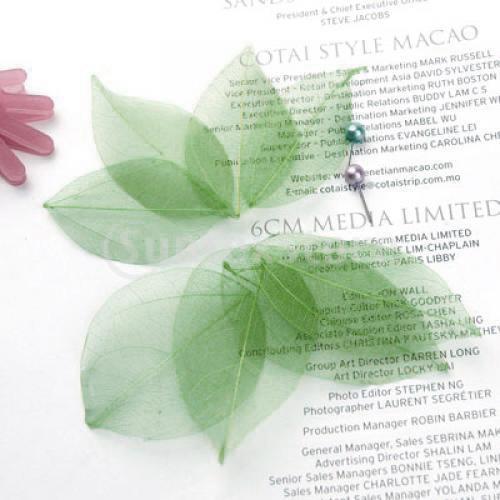 Natural Catbrier Skeleton Leav - Craft Embellishments reseña y precio