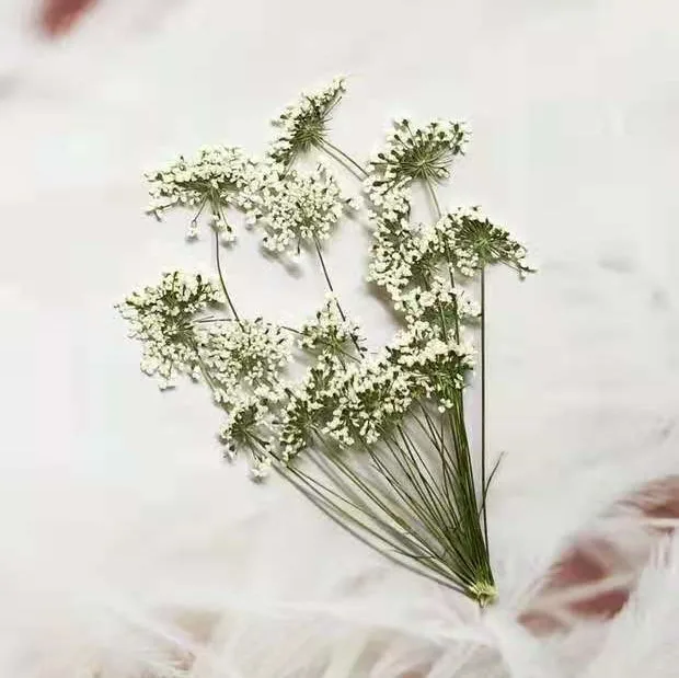 5-7cm/12pcs,Snow Tiny Flowers  - Craft Embellishments reseña y precio