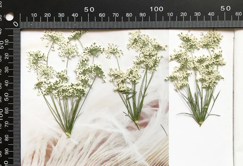 5-7cm/12pcs,Snow Tiny Flowers  - Craft Embellishments reseña y precio