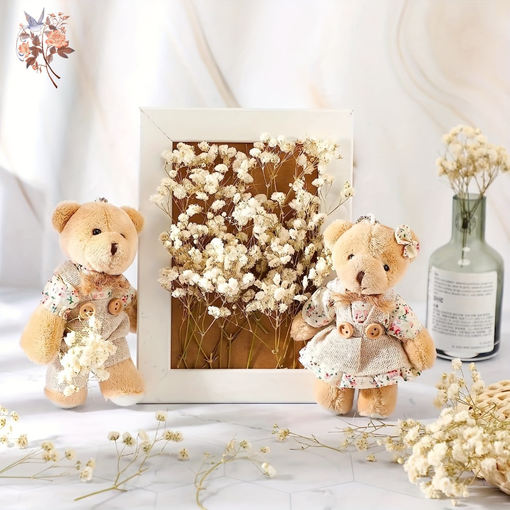 100pcs Mini Dried Baby's Breat - Craft Embellishments reseña y precio